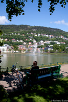 Relaxing on a Bench