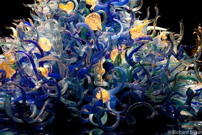 Blue sea grass