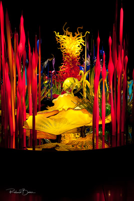 Mille Fiori