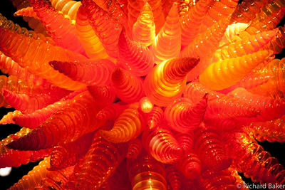 Chandeliers