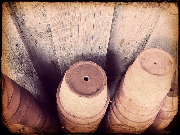 Terracotta Pots