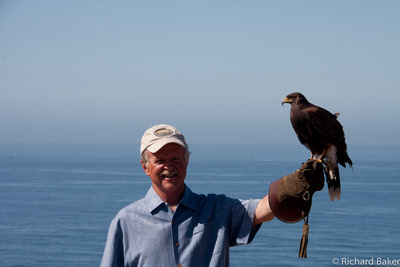 Rich with hawk.