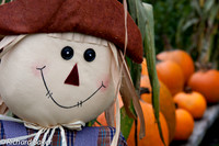 Its A Happy Time
