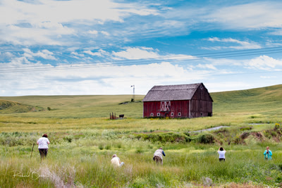 Photographers line up for a barn picture.