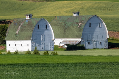Two Barns; No Sky