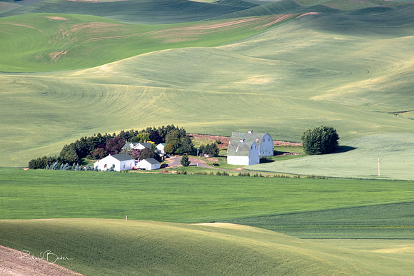 Double barns in green hills