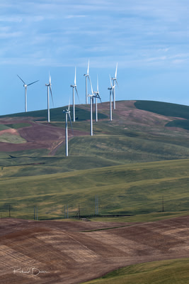 Several wind turbines