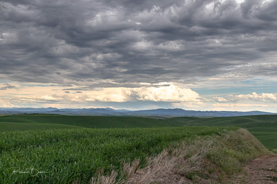 Gathering clouds