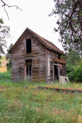 Lonely House