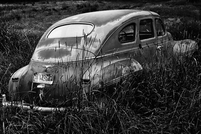 Back View Dodge Sedan
