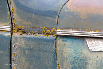 Pollen and Rust