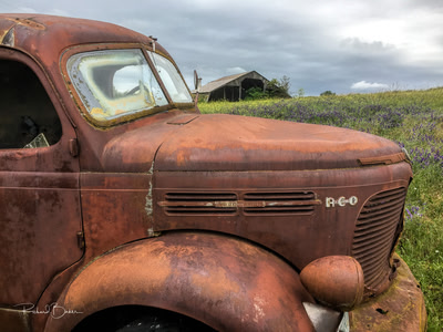REO Speed Wagon