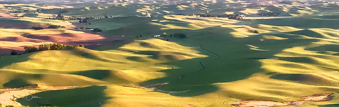 View From Steptoe Butte
